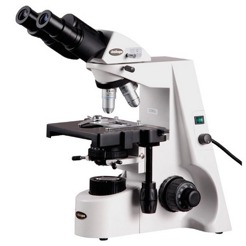 AmScope B690C Plan Achromatic Binocular Compound Microscope