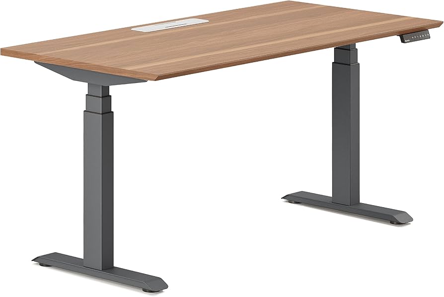 Branch Standing Desk 60x30
