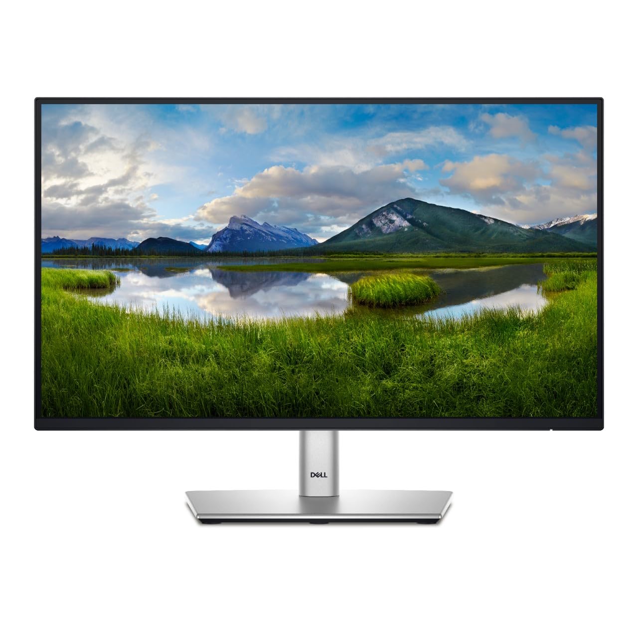 Dell P2424HT 23.8-Inch FHD Touchscreen Monitor