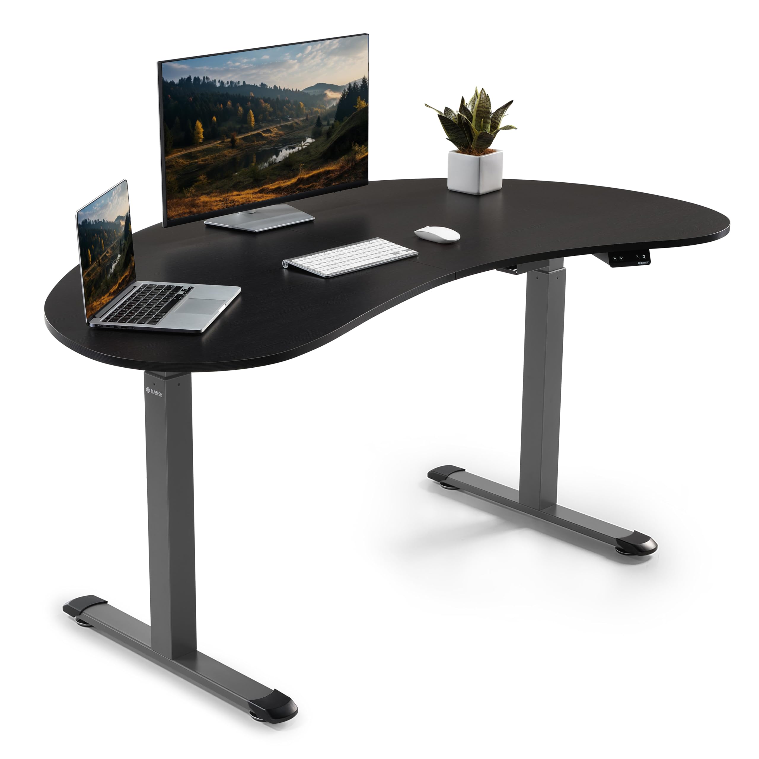 Eureka Ergonomic Electric Standing Desk