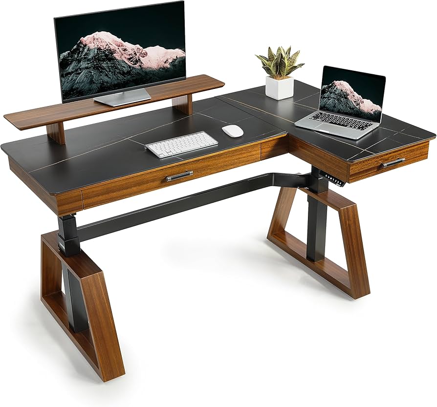 EUREKA ERGONOMIC Electric Standing Desk 60 x 30 Inch