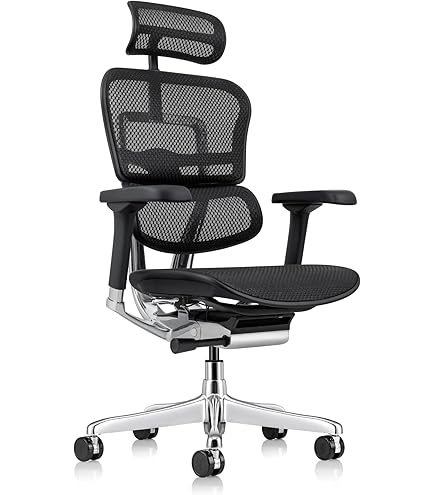 Eurotech Ergohuman Plus