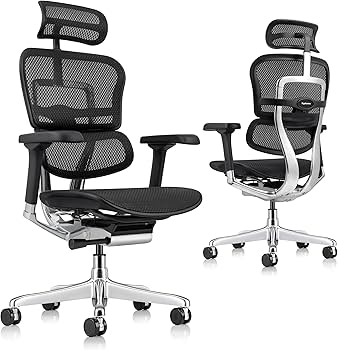 Eurotech Ergohuman Plus High Back Chair