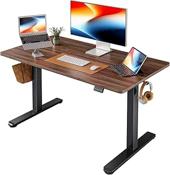 FEZIBO Electric Standing Desk 48x30