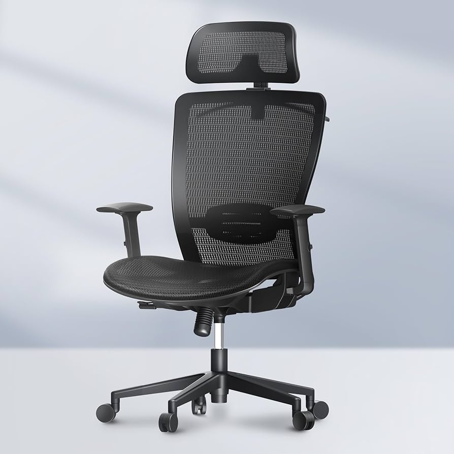 Flexispot OC3 Ergonomic Office Chair