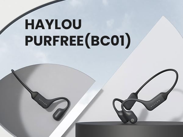 Haylou PurFree BC01