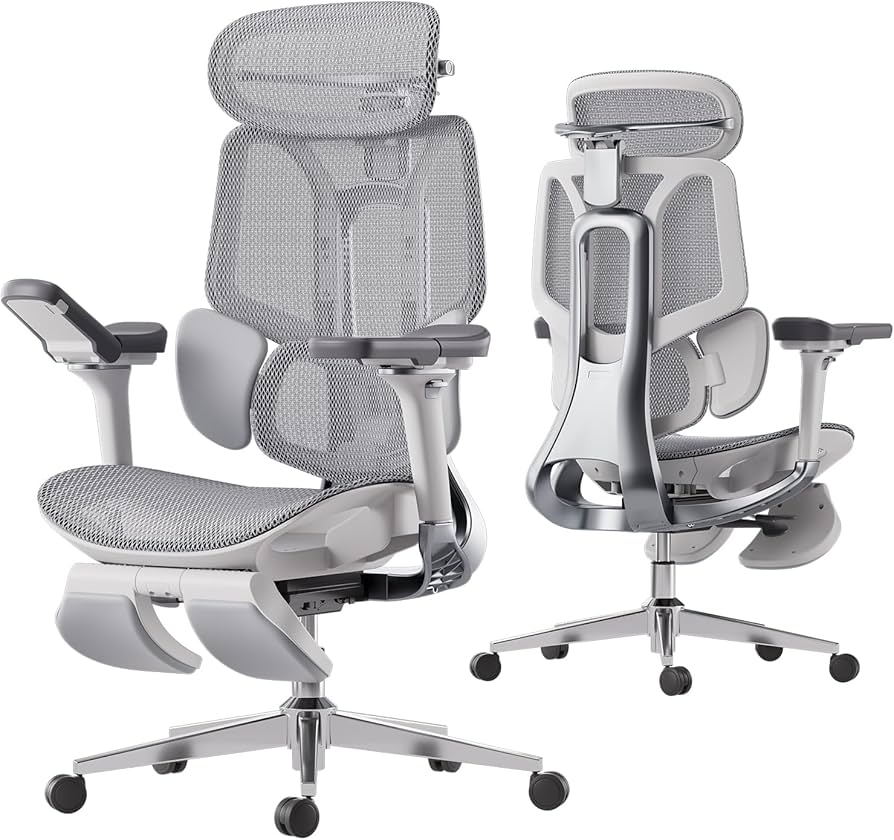 Hbada E3 Ergonomic Office Chair