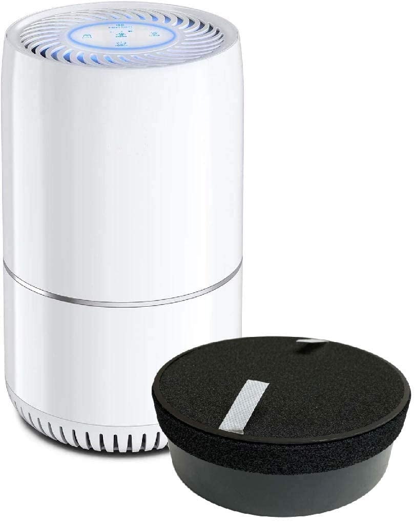 hOmeLabs True HEPA Air Purifier
