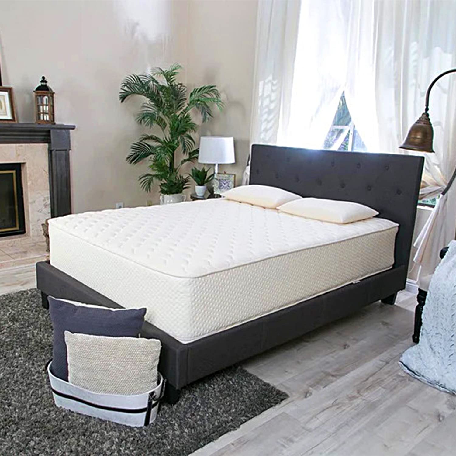 Latex for Less 7 Inch Natural Dunlop Latex Mattress Queen