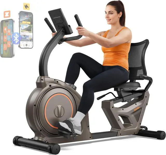 Niceday Indoor Cycling Bike Belt Drive Stationary Bike