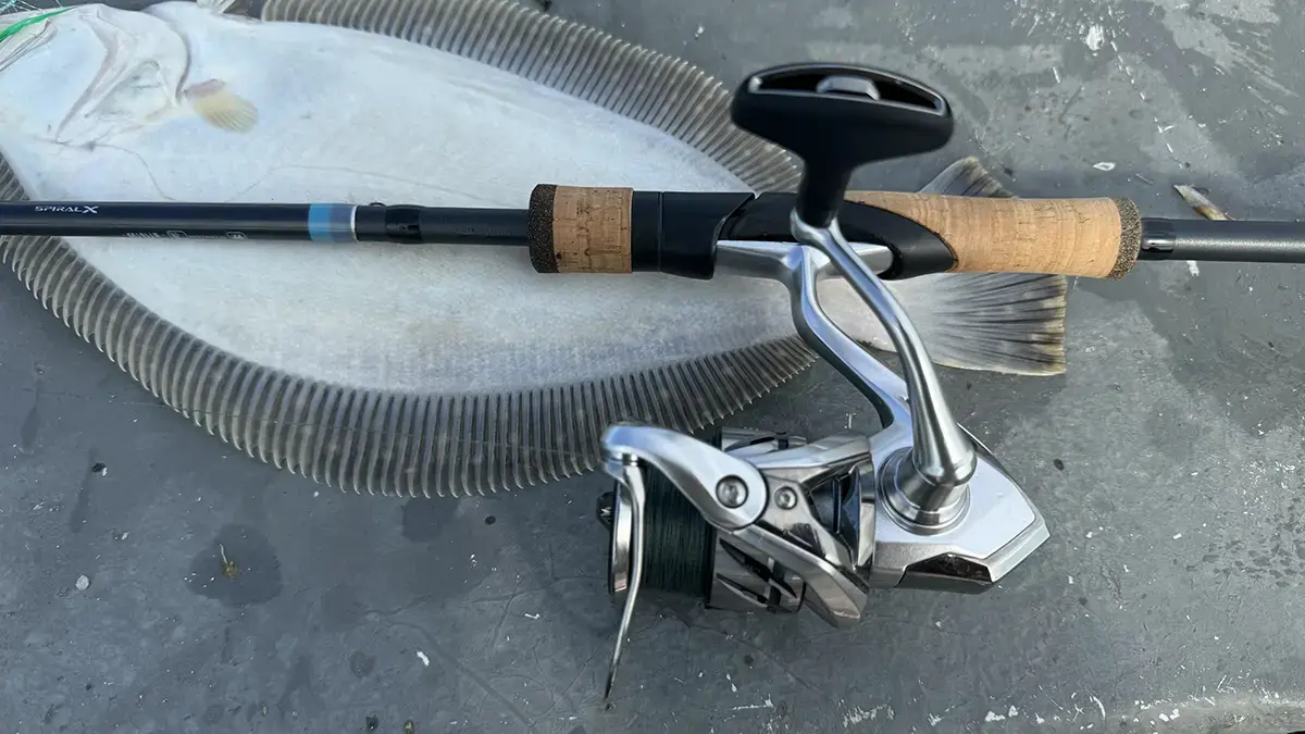 Shimano Stradic FM 3000