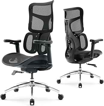Sihoo Doro C100 Ergonomic Office Chair