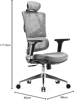SIHOO M90D Ergonomic Office Chair