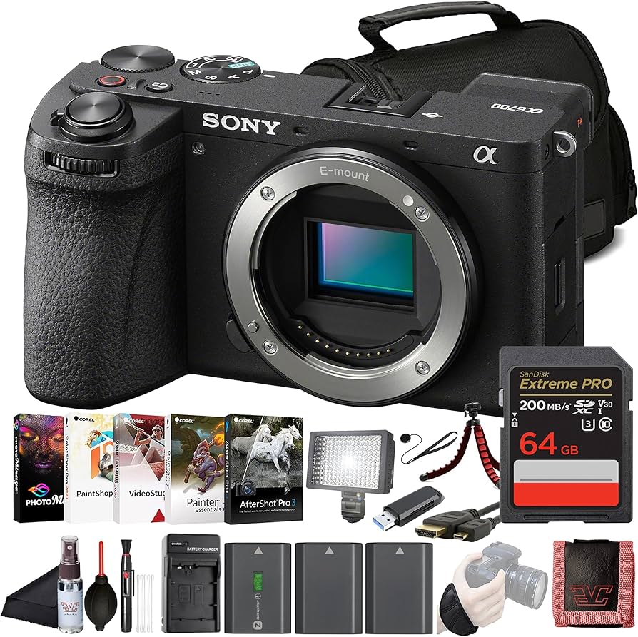 Sony α6700 Mirrorless Camera
