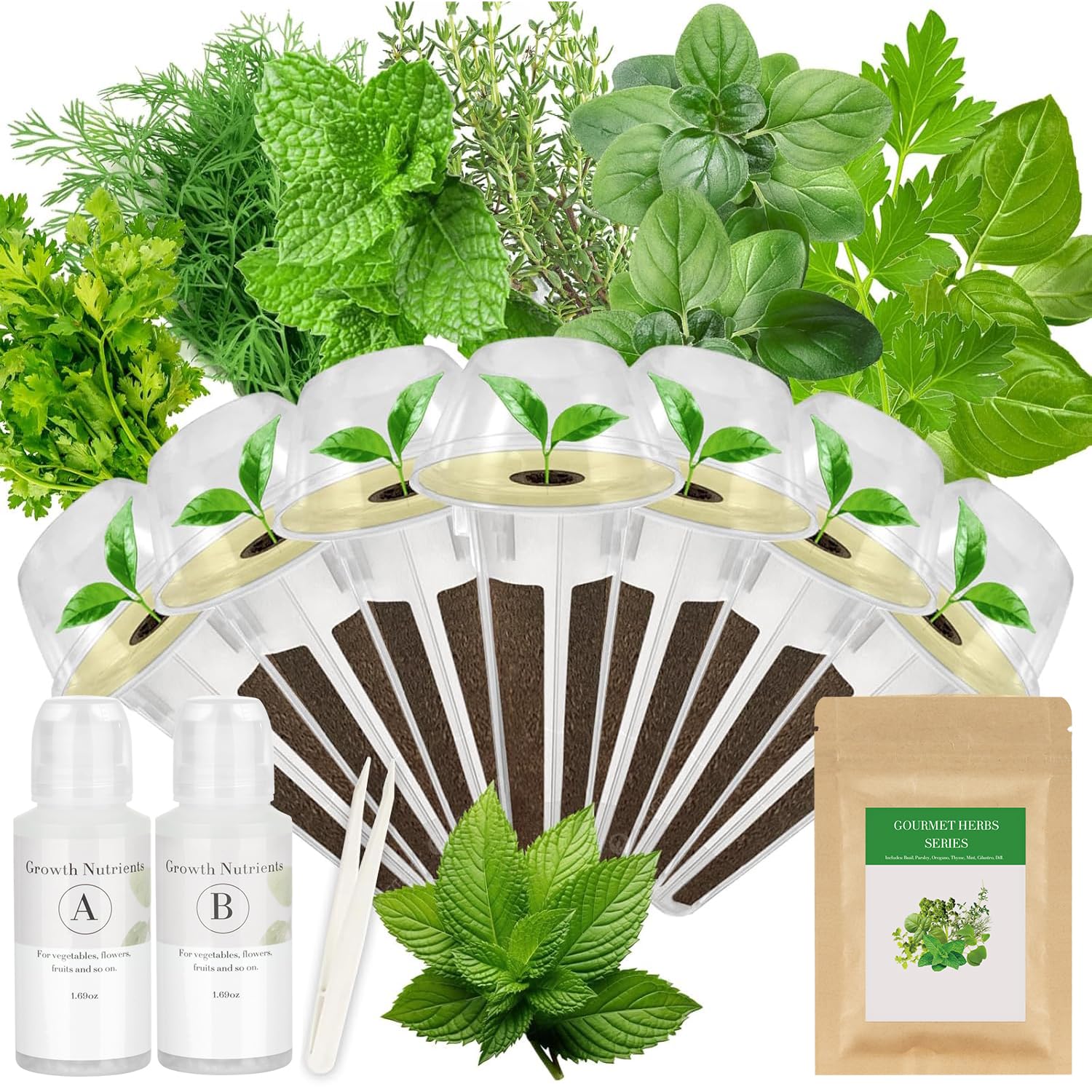AeroGarden Gourmet Herb Seed Pod Kit (7-Pod)