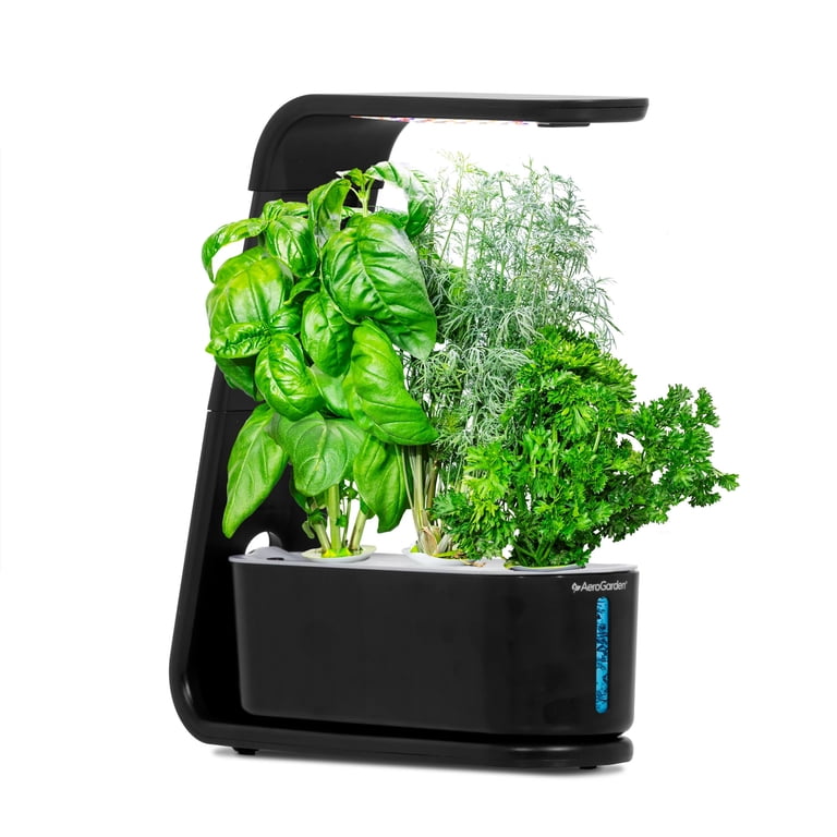 AeroGarden Sprout 3 Pod Indoor Herb Garden