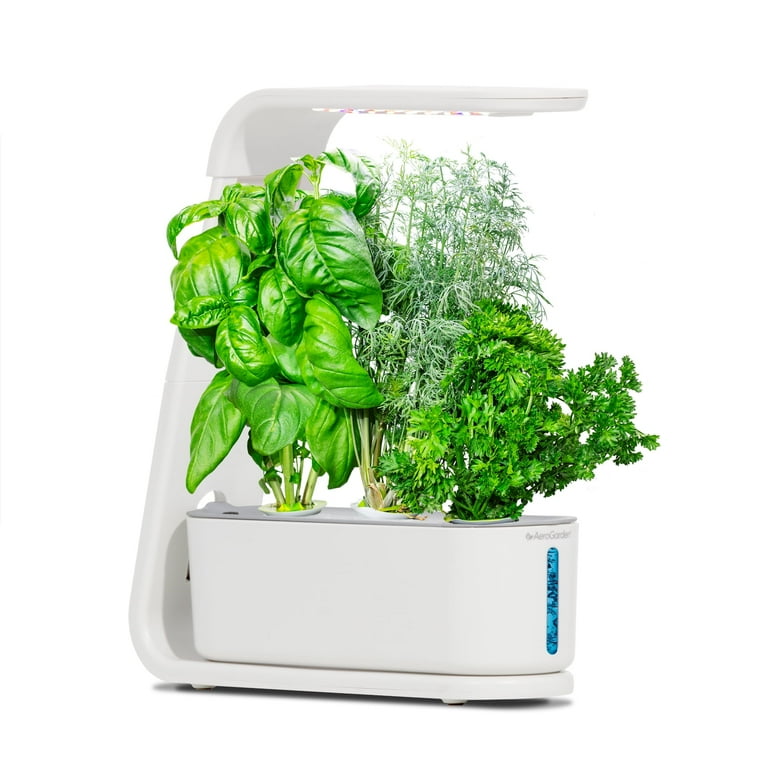 AeroGarden Sprout LED Indoor Herb Garden