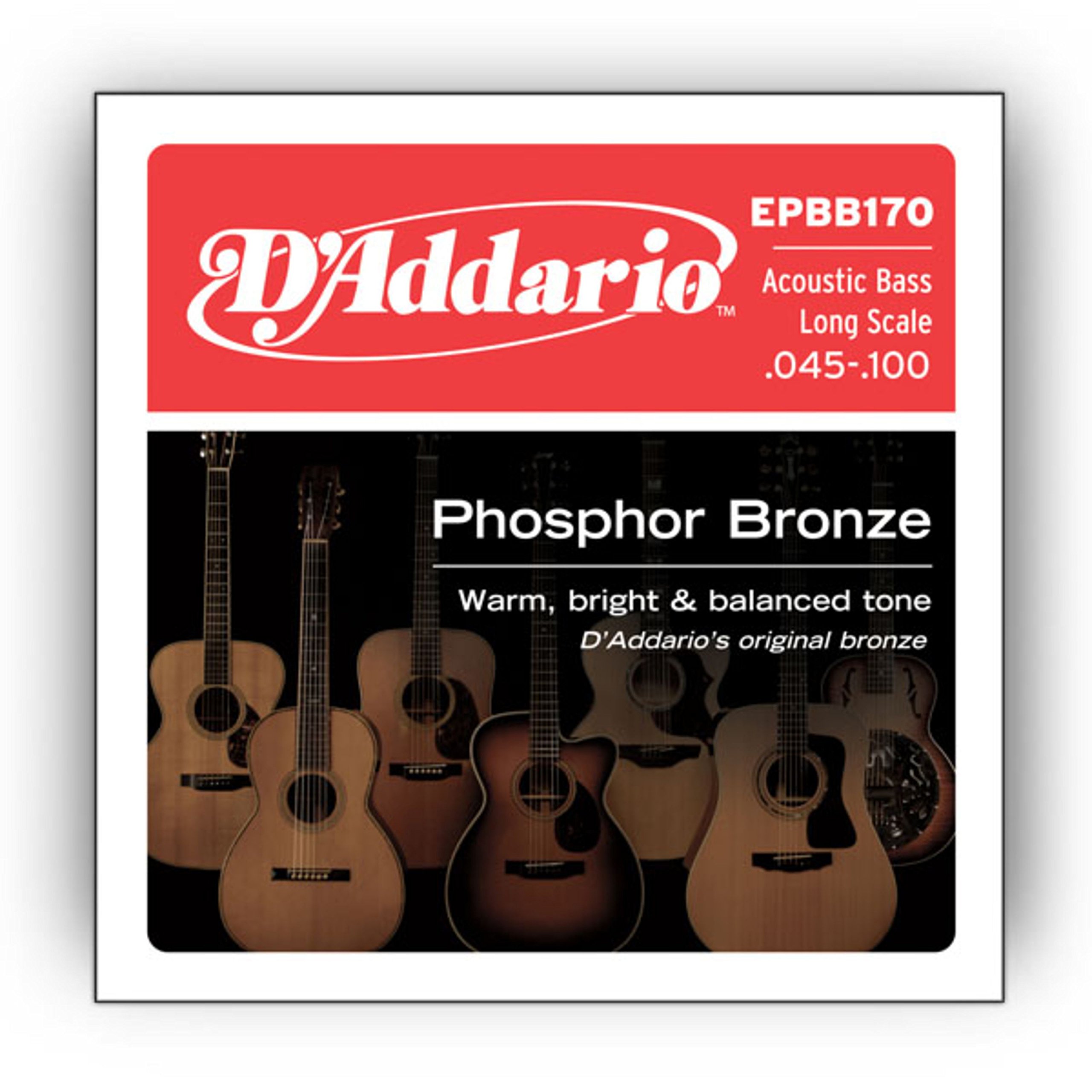 D'Addario Woodstone Medium Acoustic Bass Strings (EJ88M)