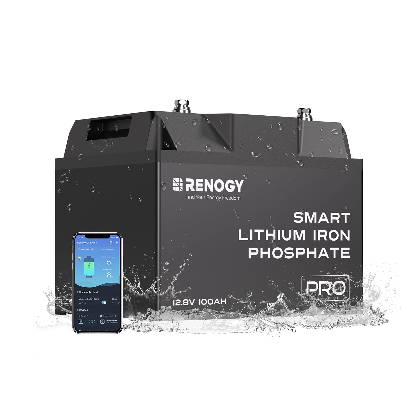 Renogy 12V 100Ah Smart Lithium Iron Phosphate Battery
