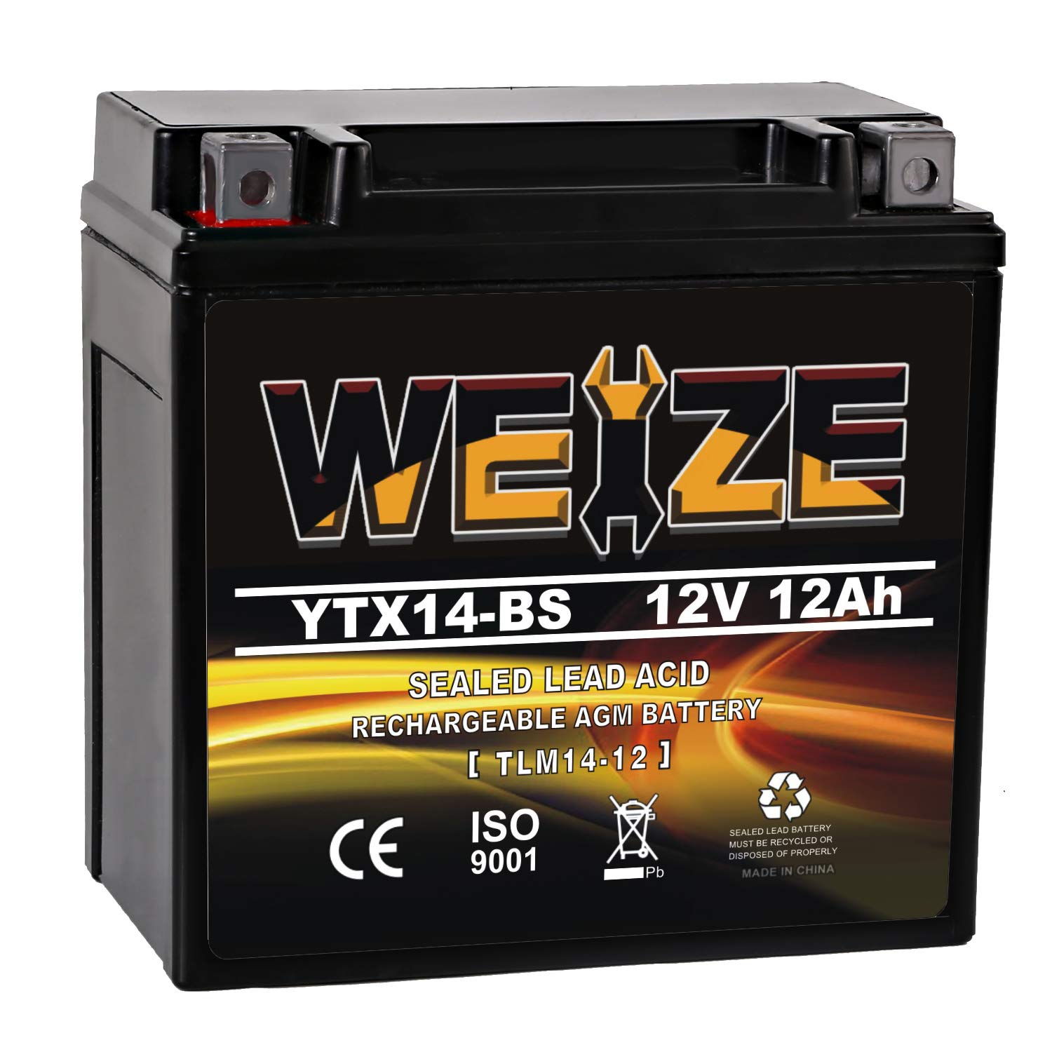 Weize 12V 100Ah AGM Battery