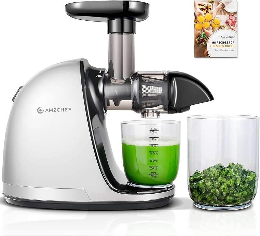 AMZCHEF Slow Masticating Juicer
