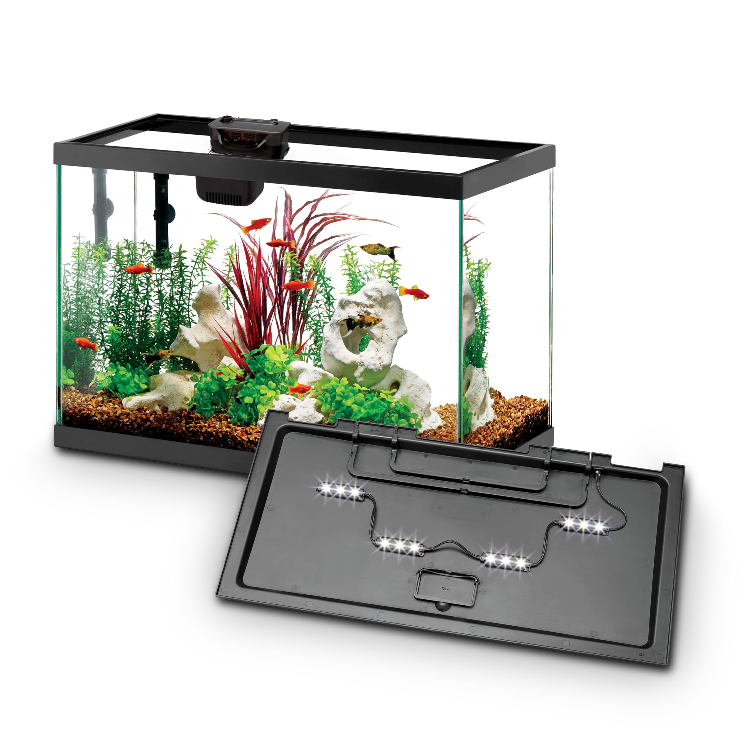 Aqueon LED 20 Gallon Aquarium Kit