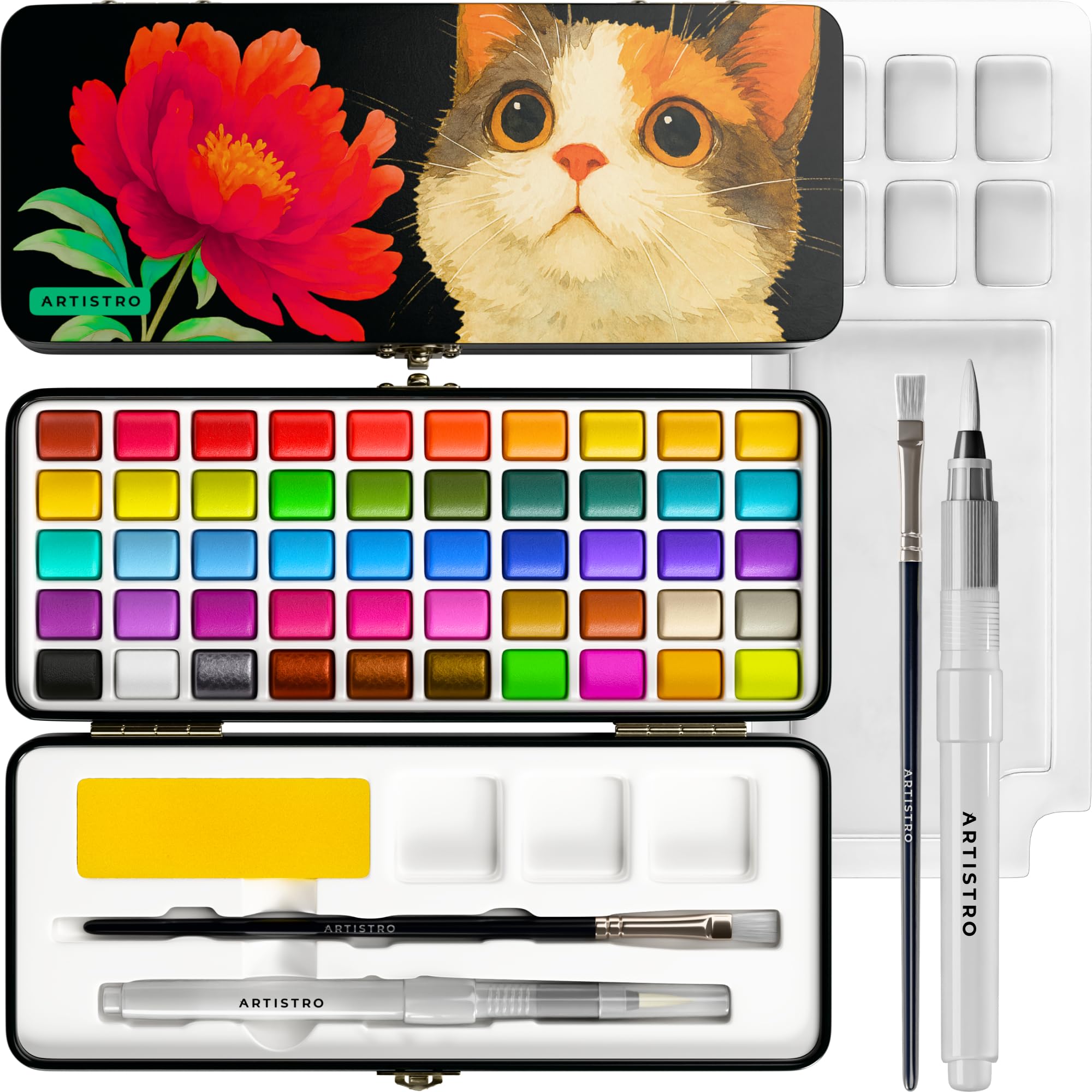 ARTISTRO Acrylic Paint Set, 50 Colors 75ml Bottles with Canvas, Brushes