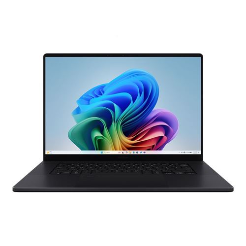 ASUS ProArt P16 H7606 (2025)
