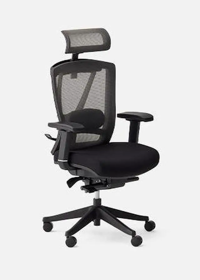 Autonomous ErgoChair Pro (2025 Model)