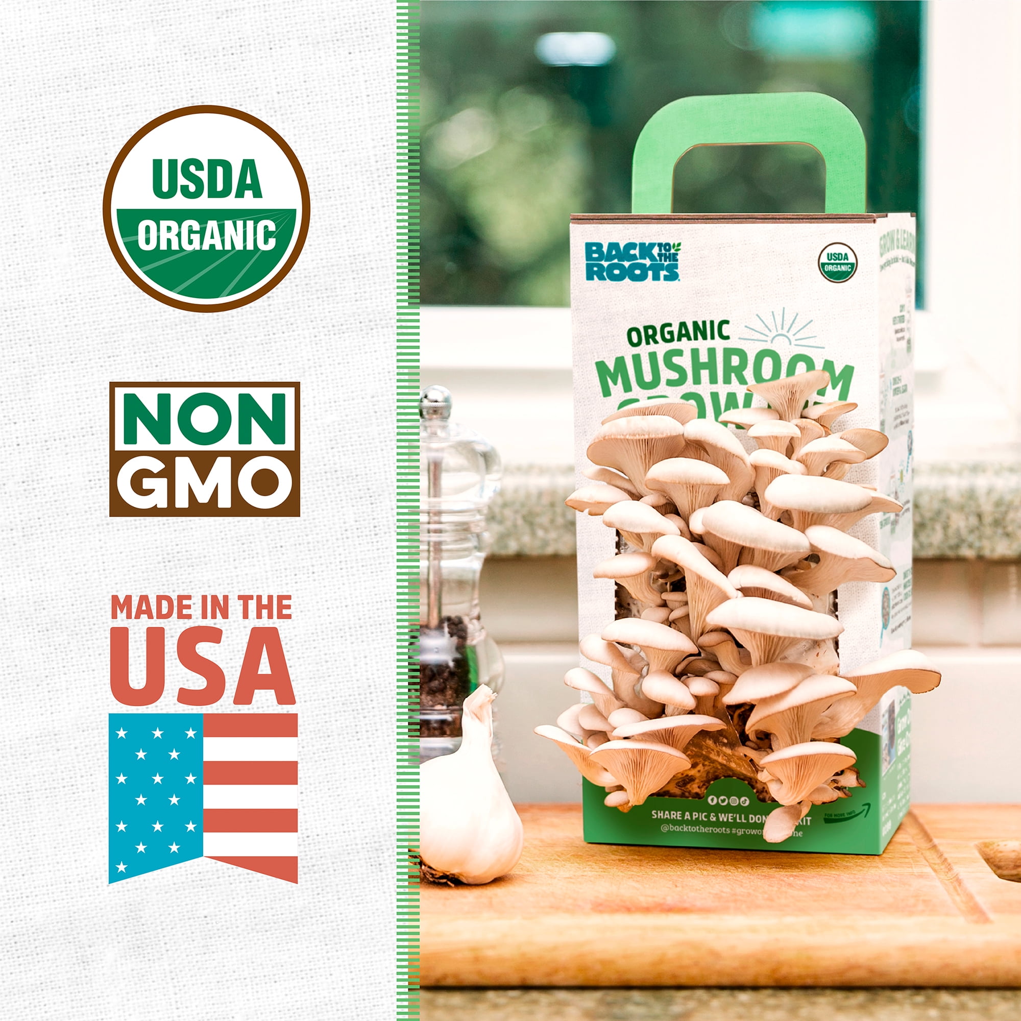 Back to the Roots Organic Mushroom Grow Kit - Oyster