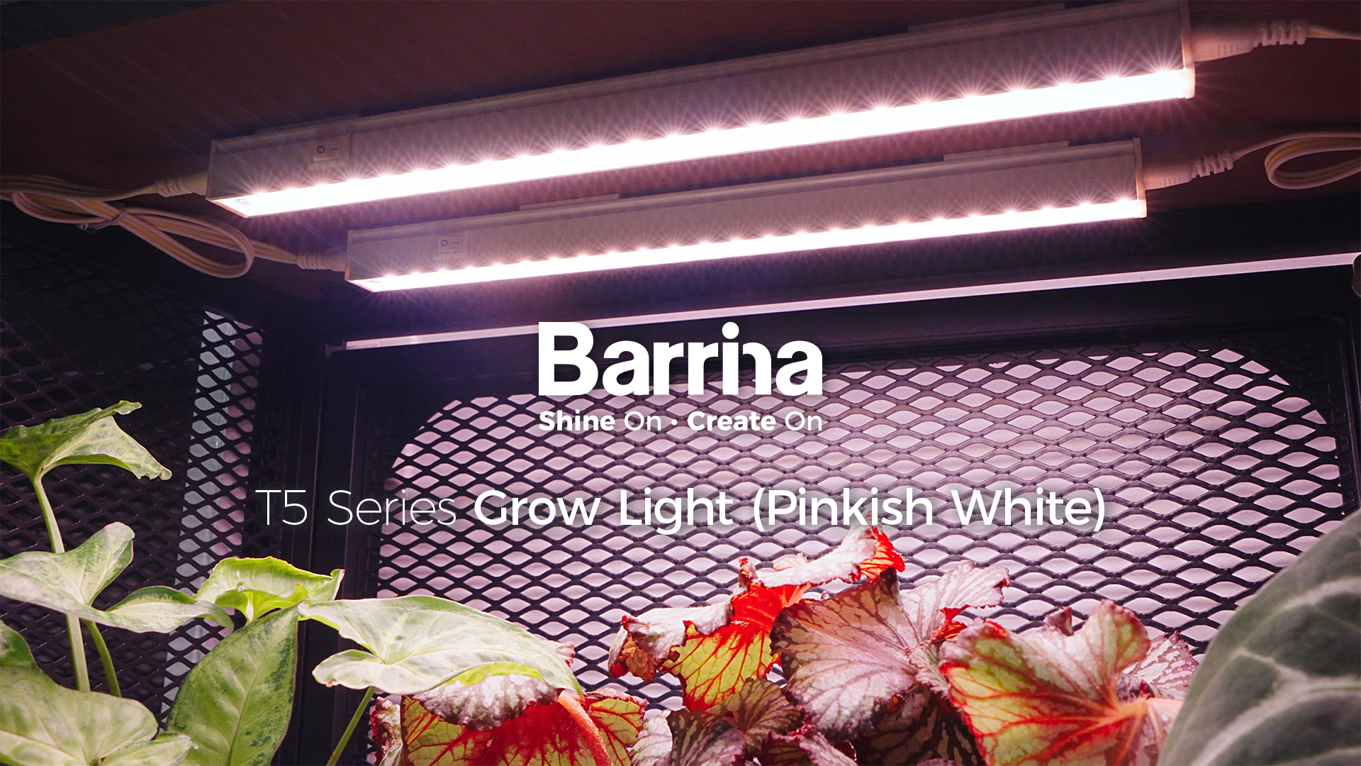 Barrina T5 LED Grow Light 4ft 5000K