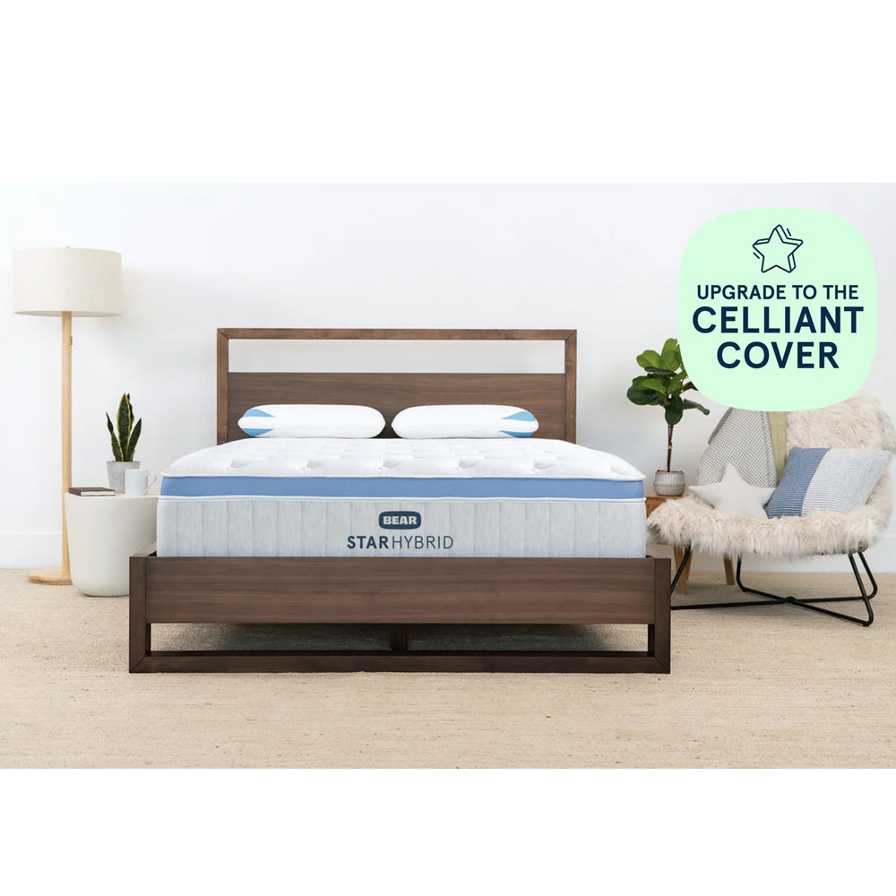 Bear Star Hybrid Mattress