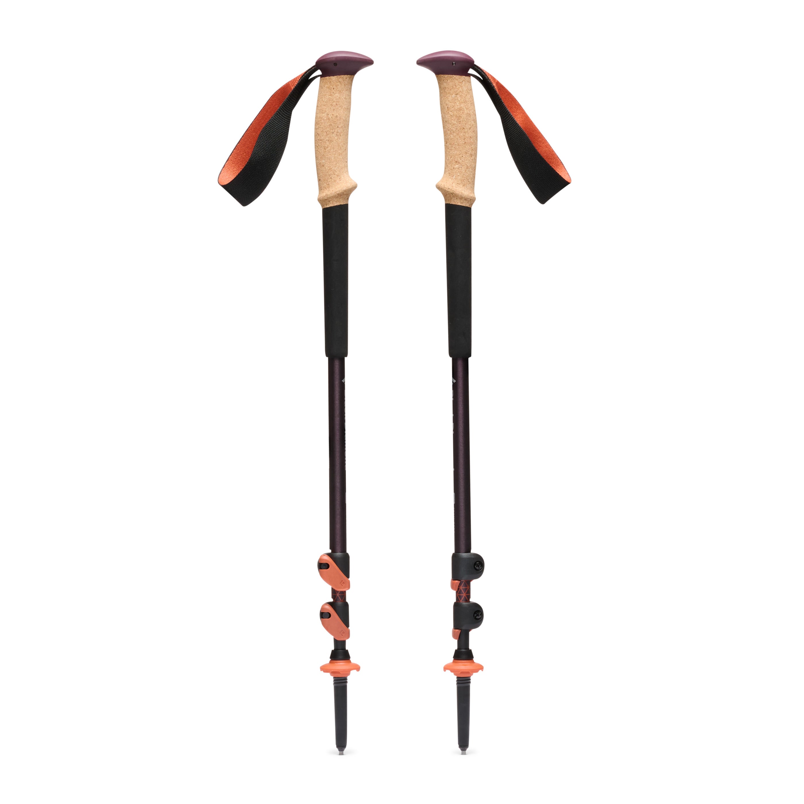 Black Diamond Trail Ergo Cork Trekking Poles