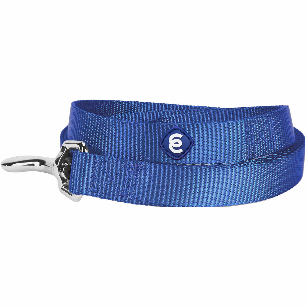Blueberry Pet Classic Solid Color Dog Leash