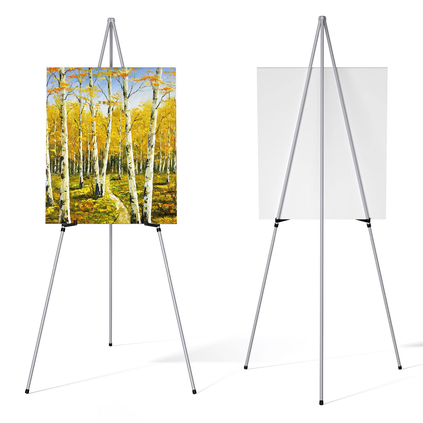 Bonroin Collapsible Artist Easel