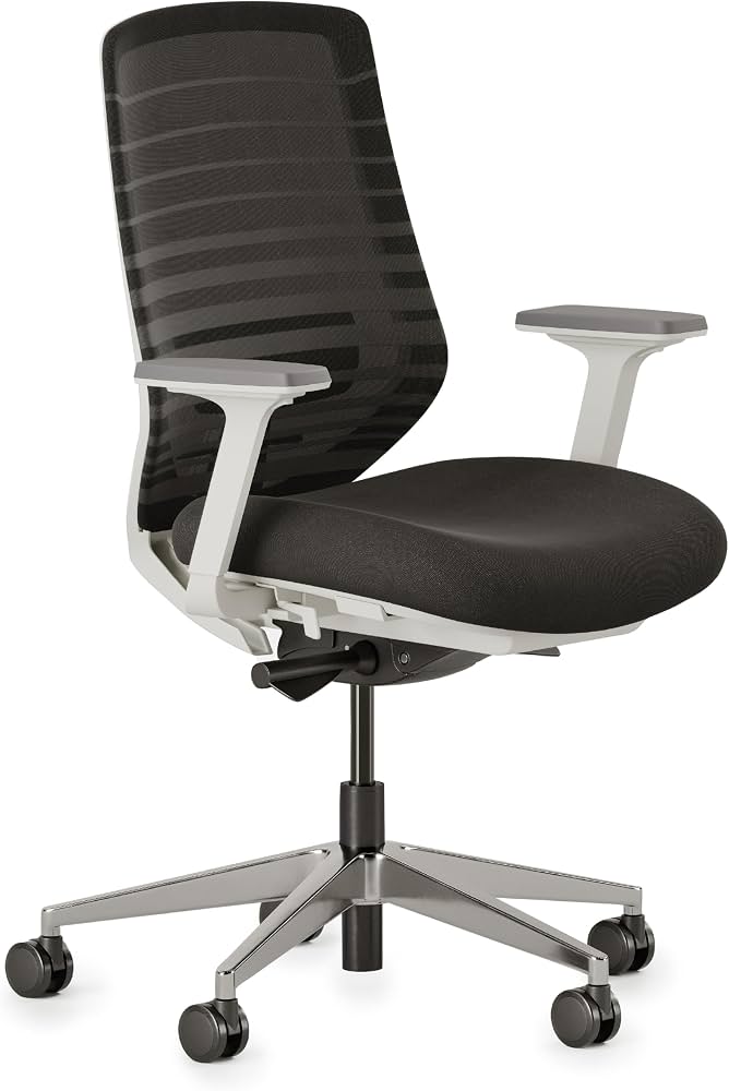 Branch Ergonomic Chair (2026 model)