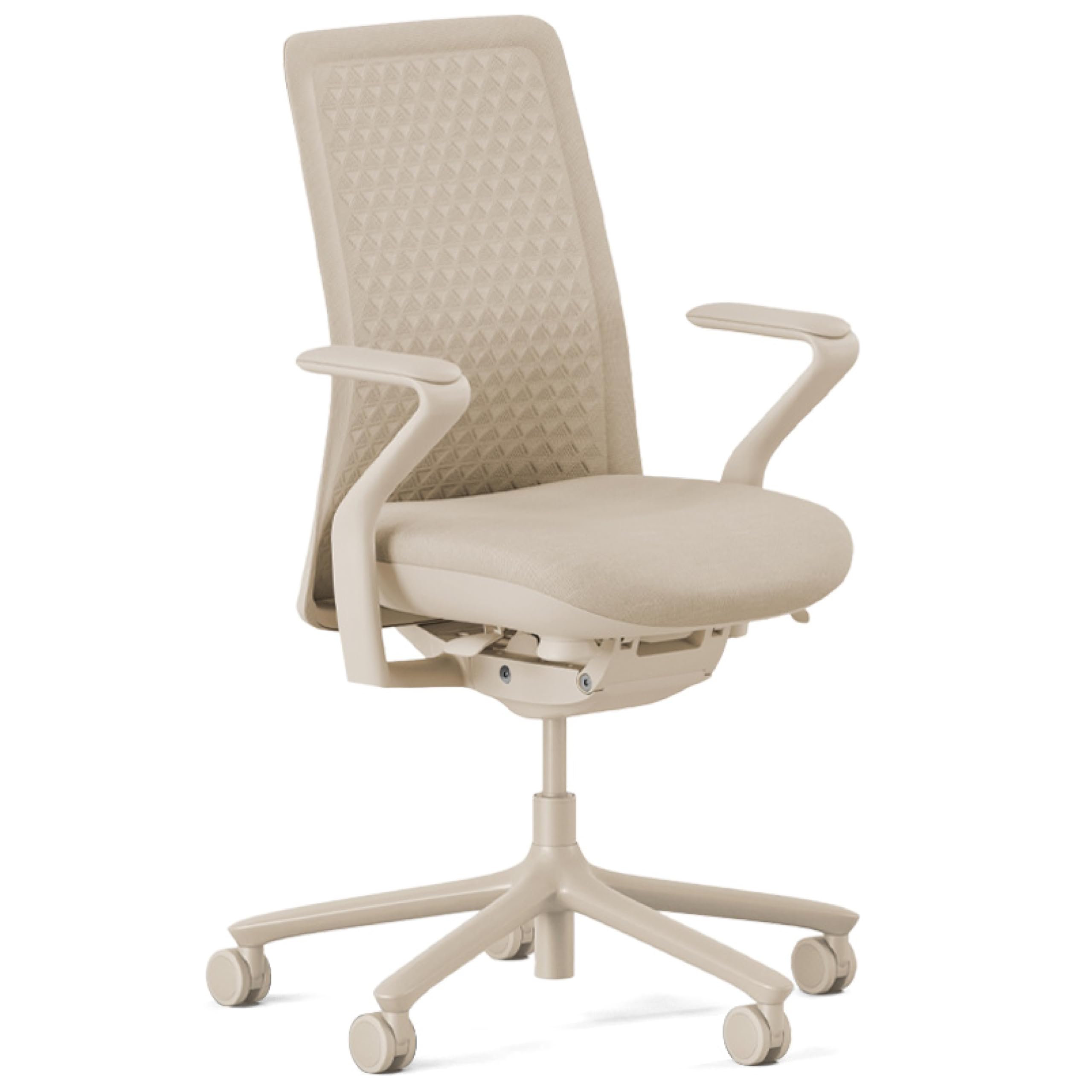 Branch Ergonomic Chair Verve