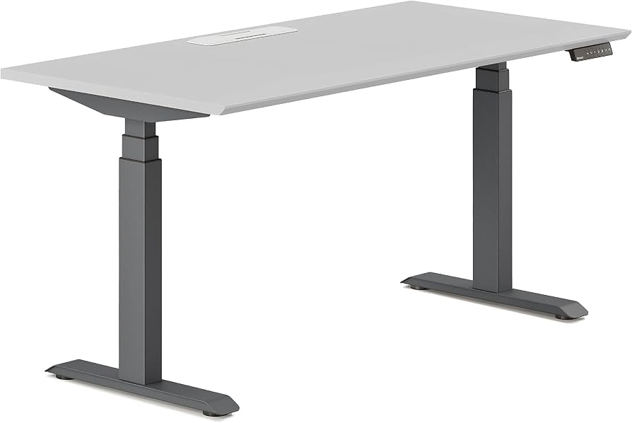 Branch The Standing Desk