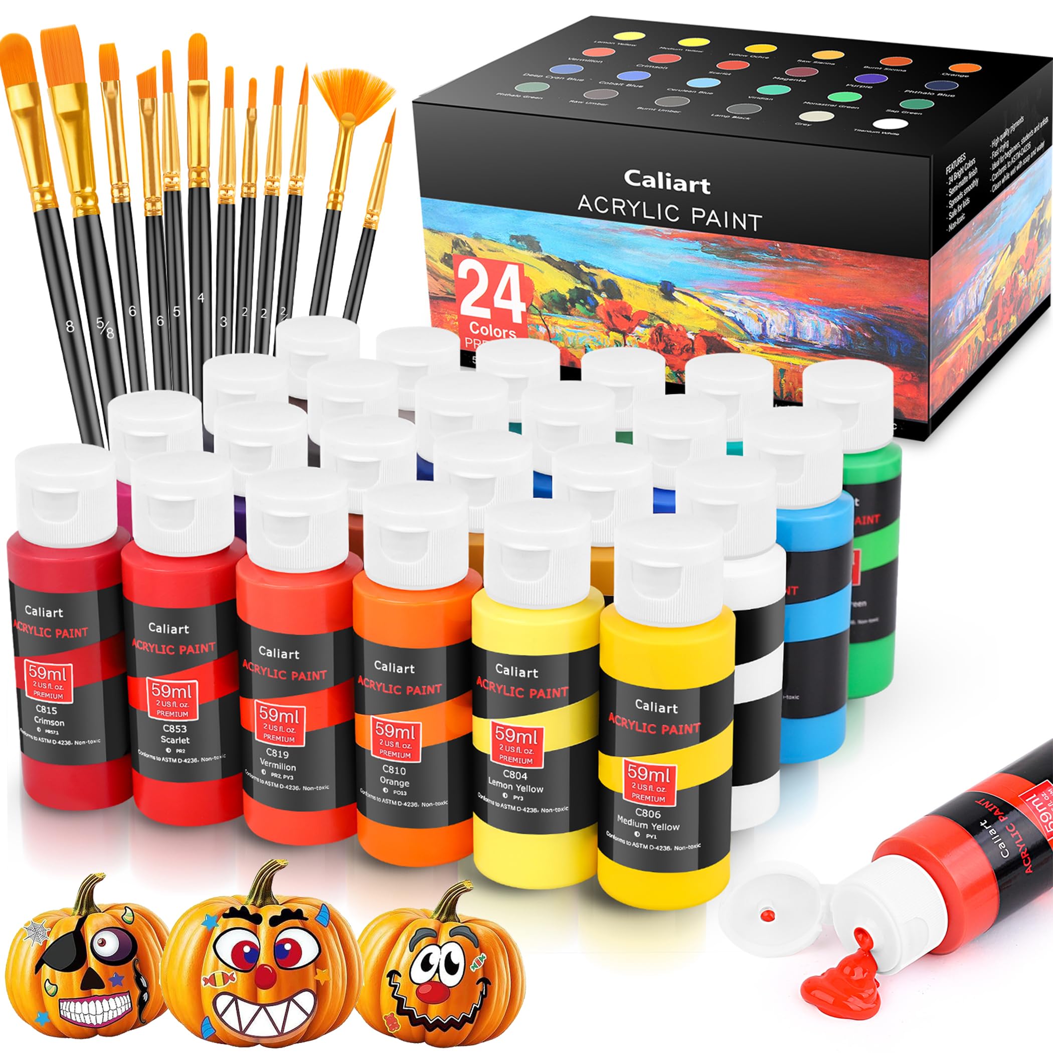 Caliart Acrylic Paint Set, 24 Colors with Canvas Panels, Brushes, Books