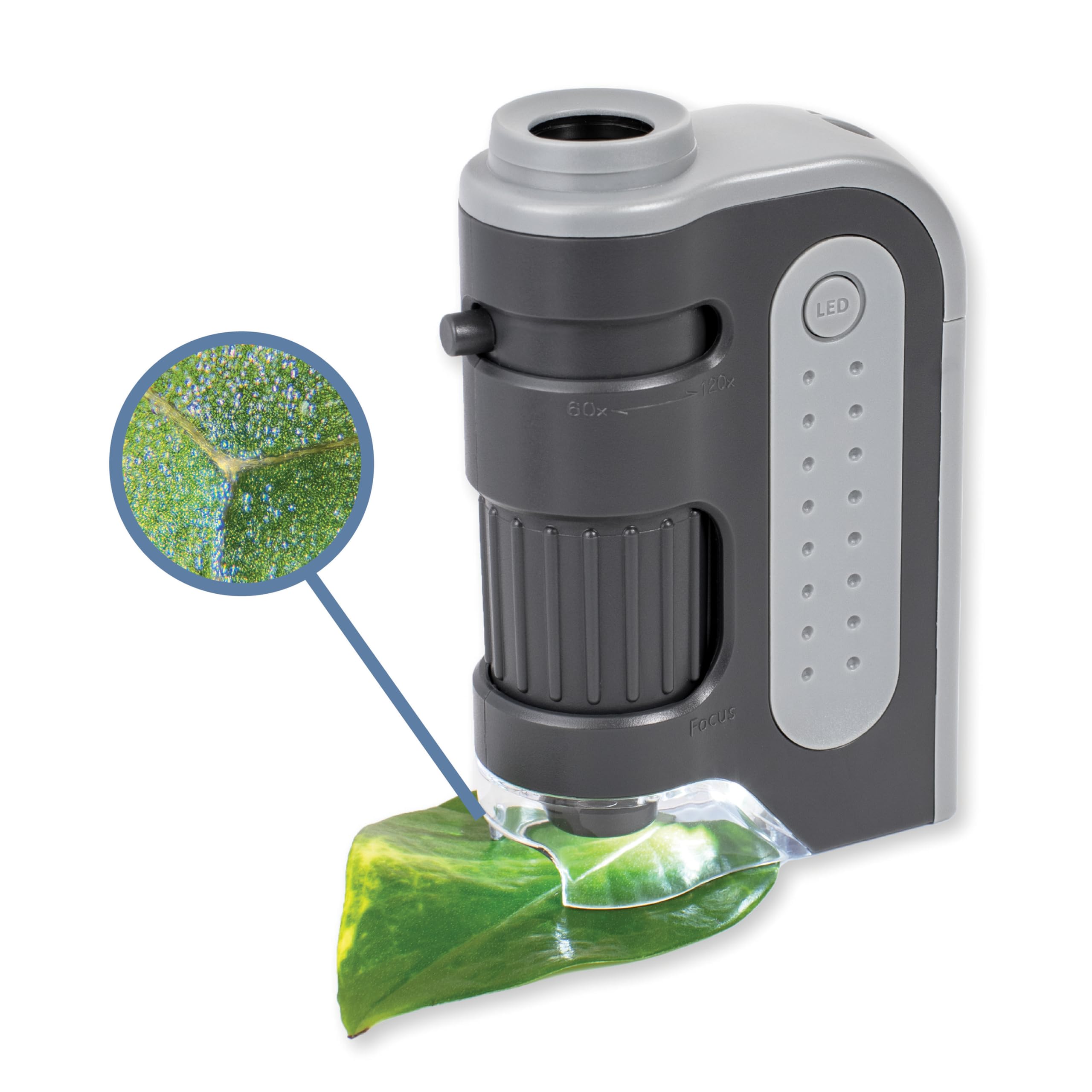 Carson MicroBrite Plus Pocket Microscope