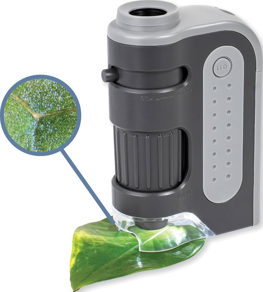 Carson MicroBrite Plus Pocket Microscope Magnifier