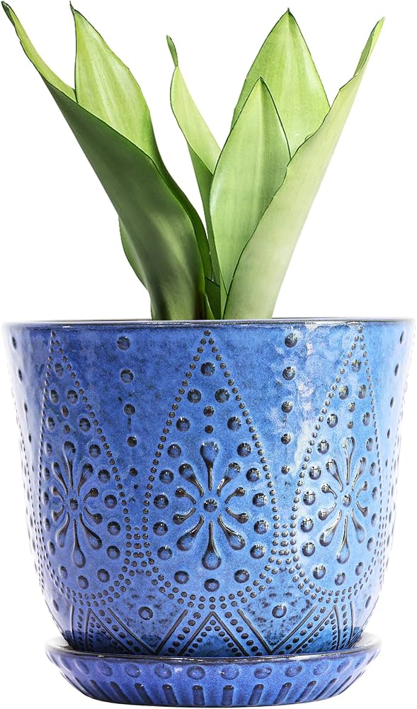 Ceramic Pot with Drainage and Saucer