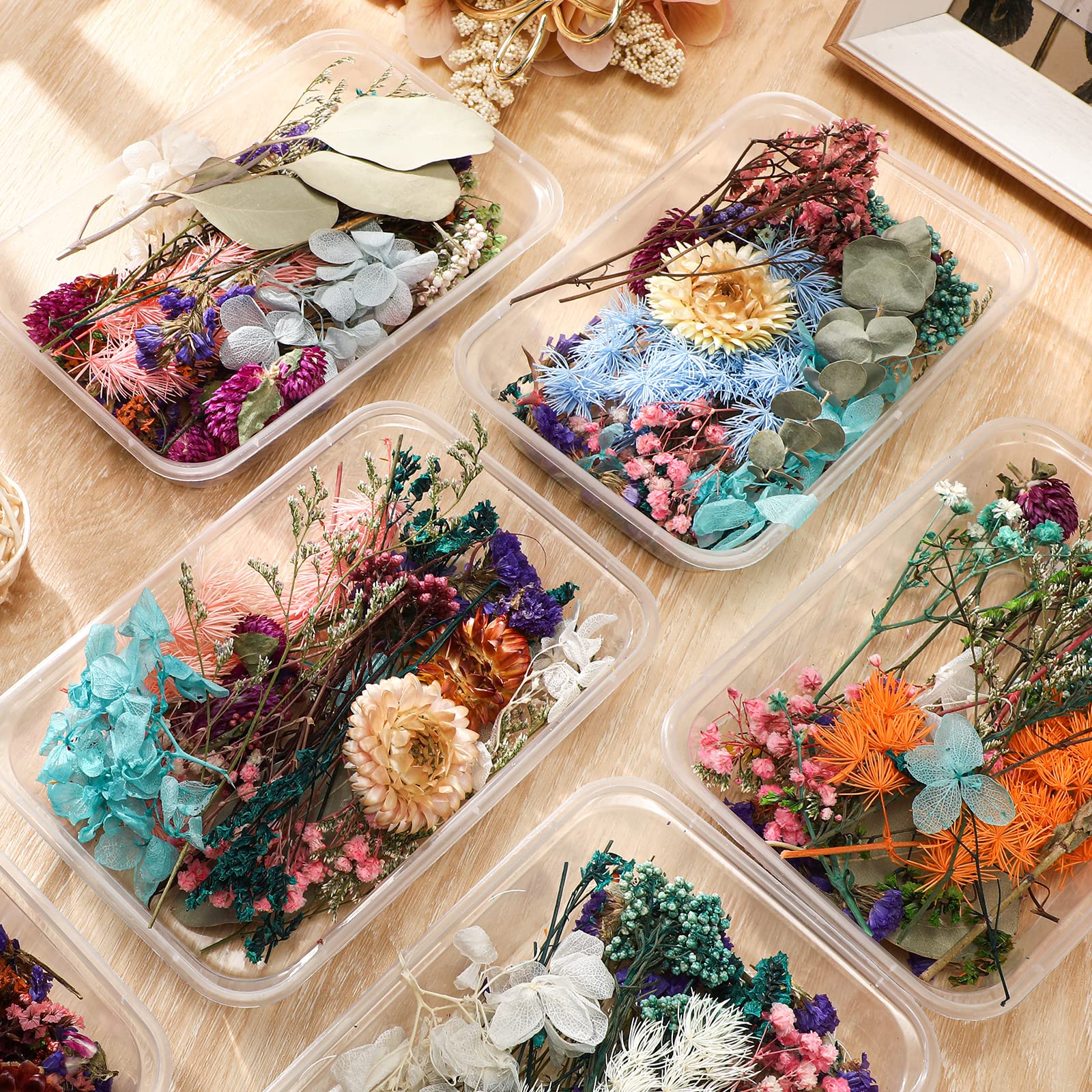 CHUYEE Resin Art Kit with Dried Flowers