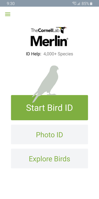 Cornell Lab Merlin Bird ID App (Pro Version)