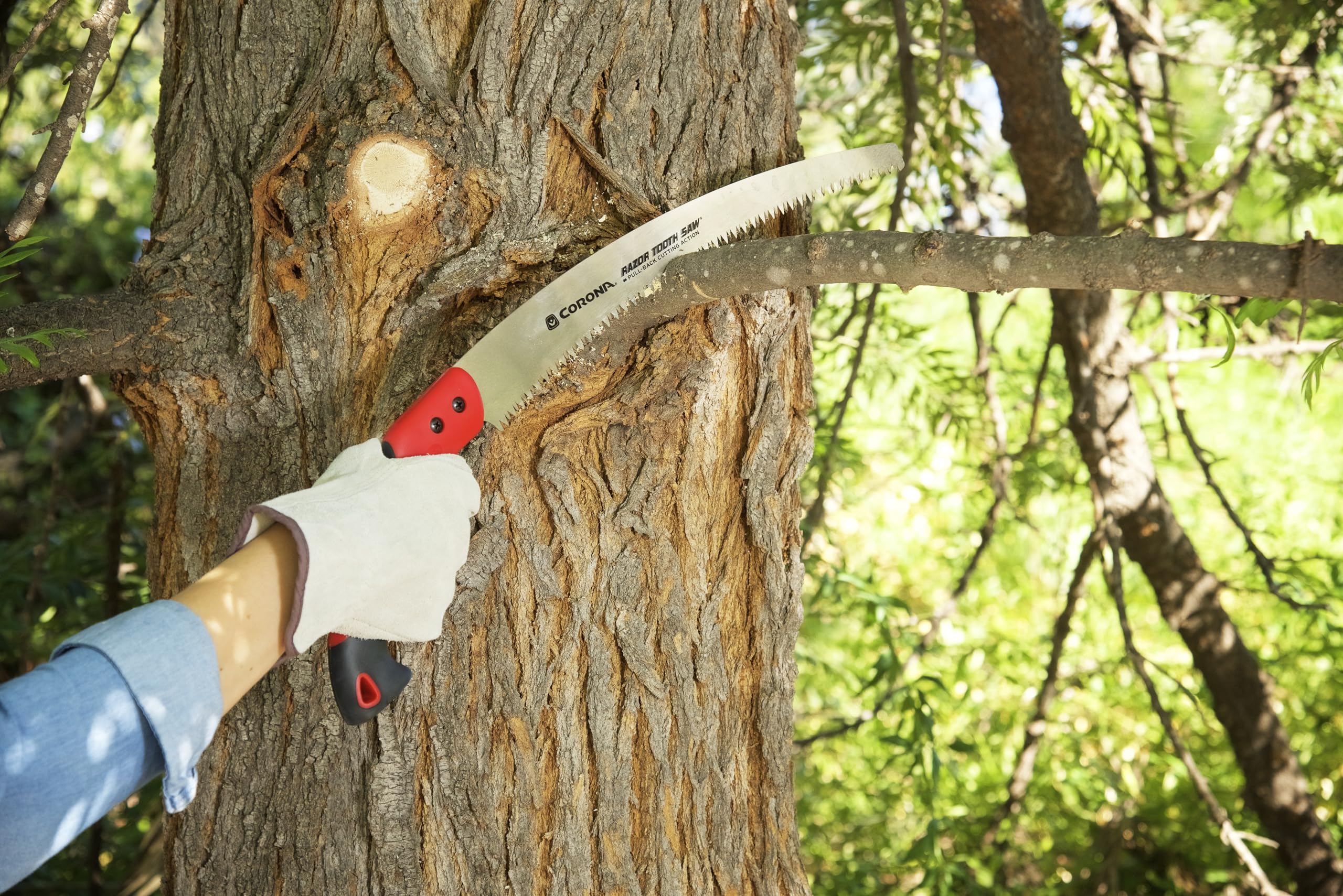 Corona BP 3310 RTD Razor Tooth Pruner