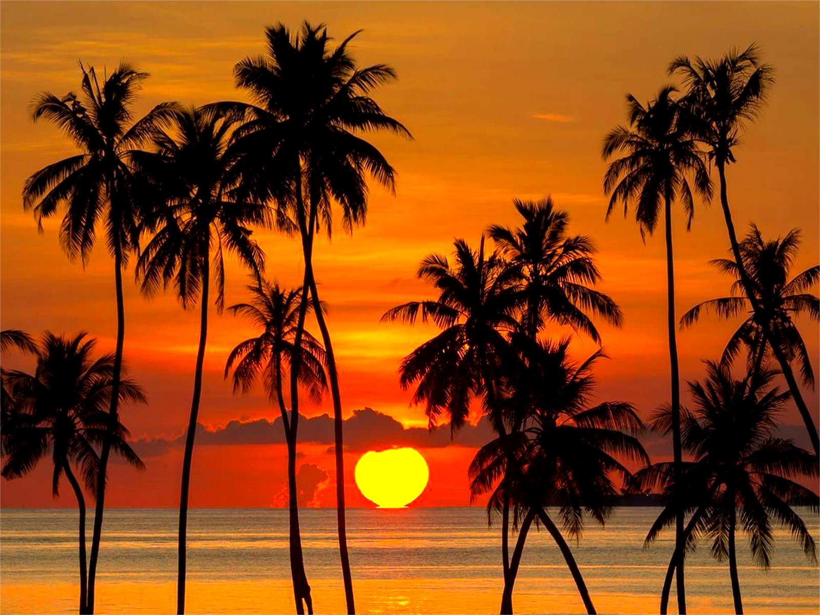 Diamond Dotz Tropical Sunset Kit (12x16 inch)
