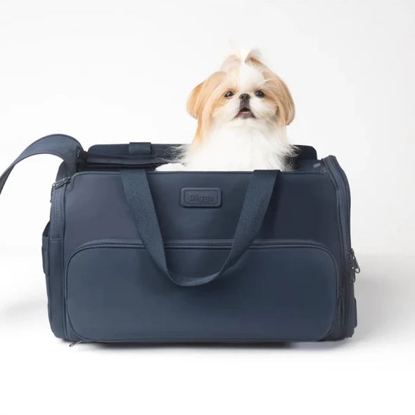 Diggs Passenger Carrier