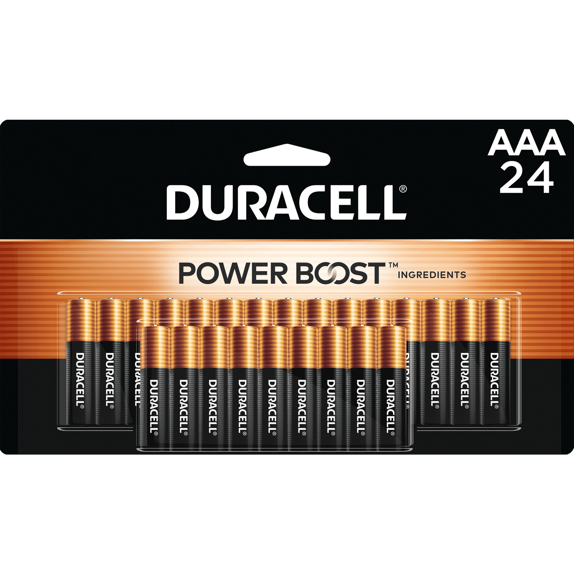 Duracell CopperTop AAA Batteries, 24 Count