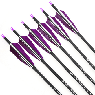 Easton 6.5 Inspire Carbon Arrows 30" Spine 900 (12 Pack)