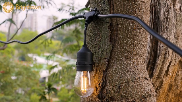 Ensenior 48ft LED Patio String Lights